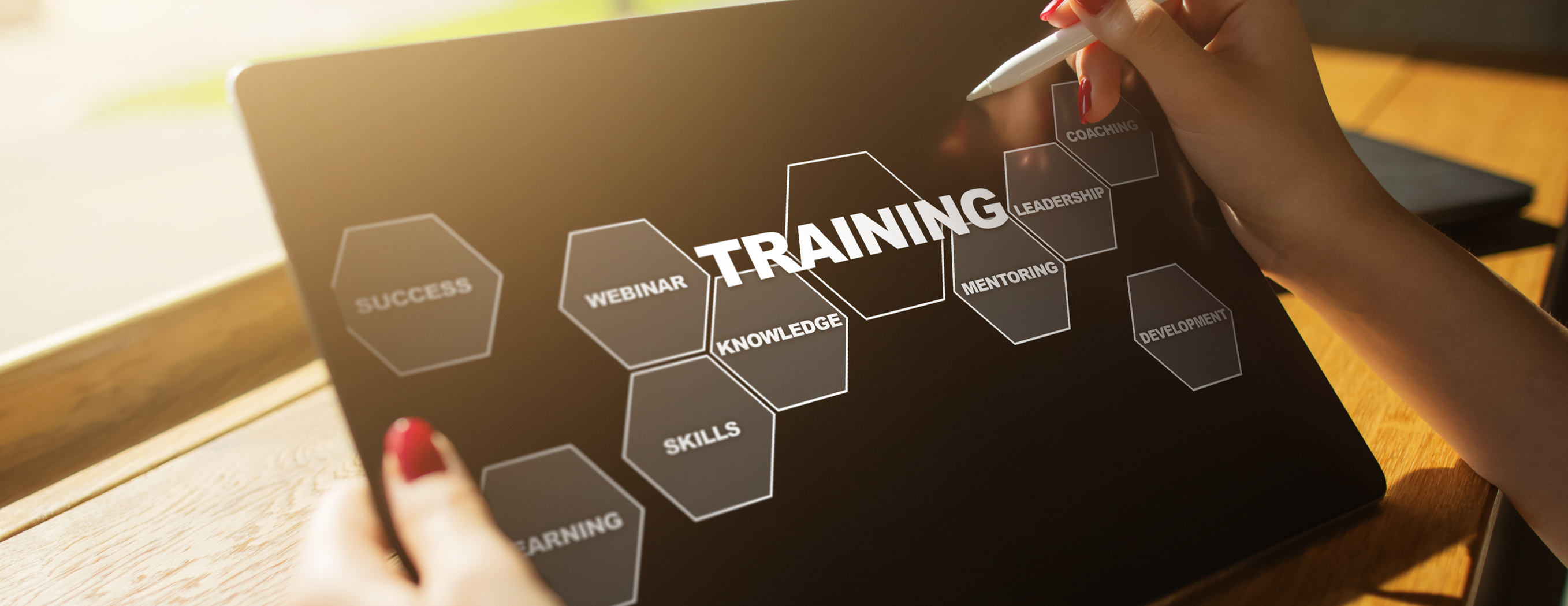 Fractional CHROs, Meet Your Secret Weapon: How HermanScience Helps You Build Smarter HR Systems