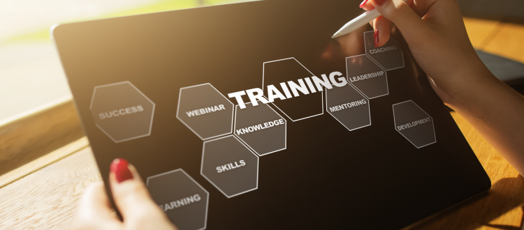 Fractional CHROs, Meet Your Secret Weapon: How HermanScience Helps You Build Smarter HR Systems